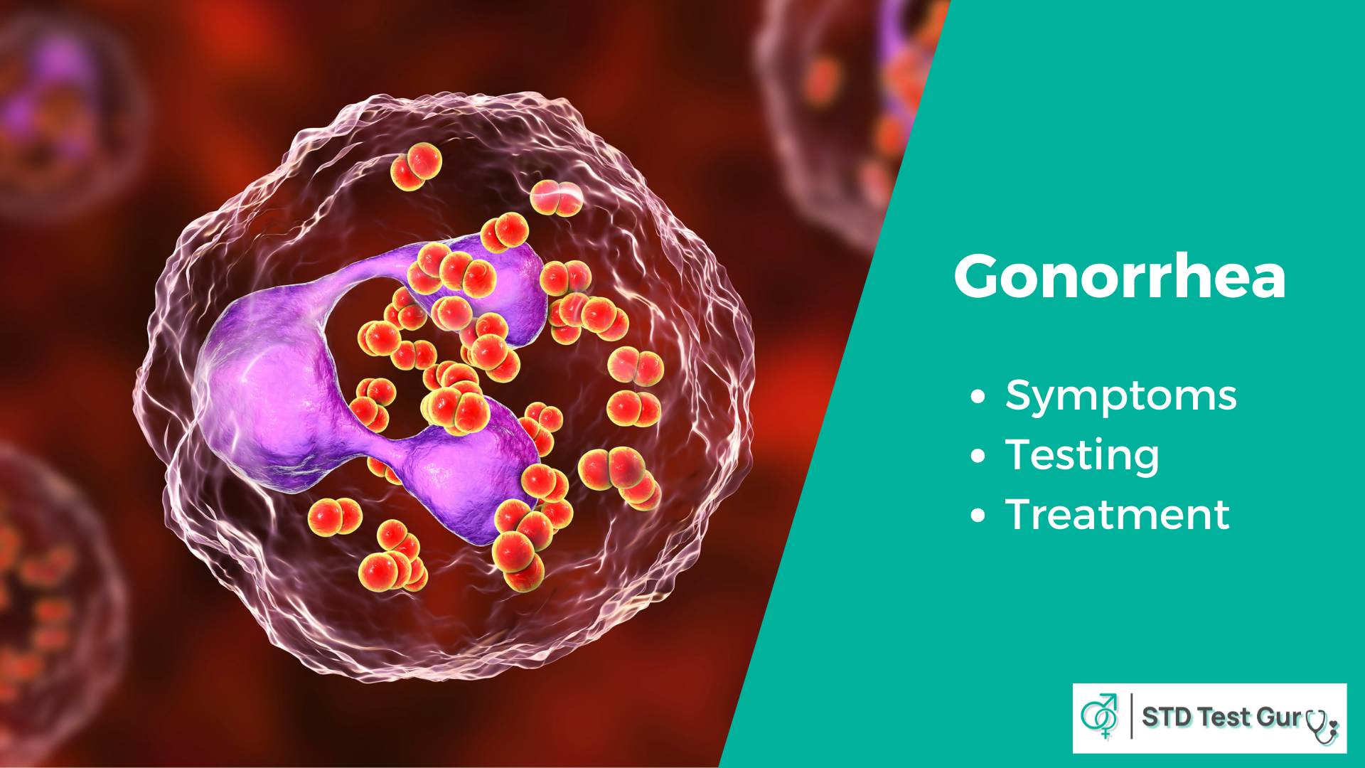 Gonorrhea STD Testing Cost