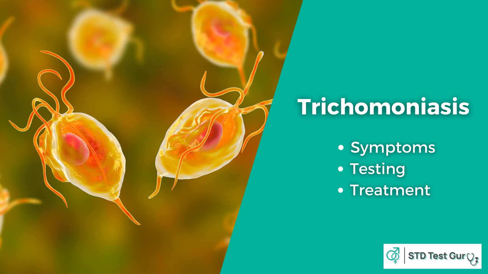 Trichomoniasis Symptoms in Men and Women and testing - STDTestGuru