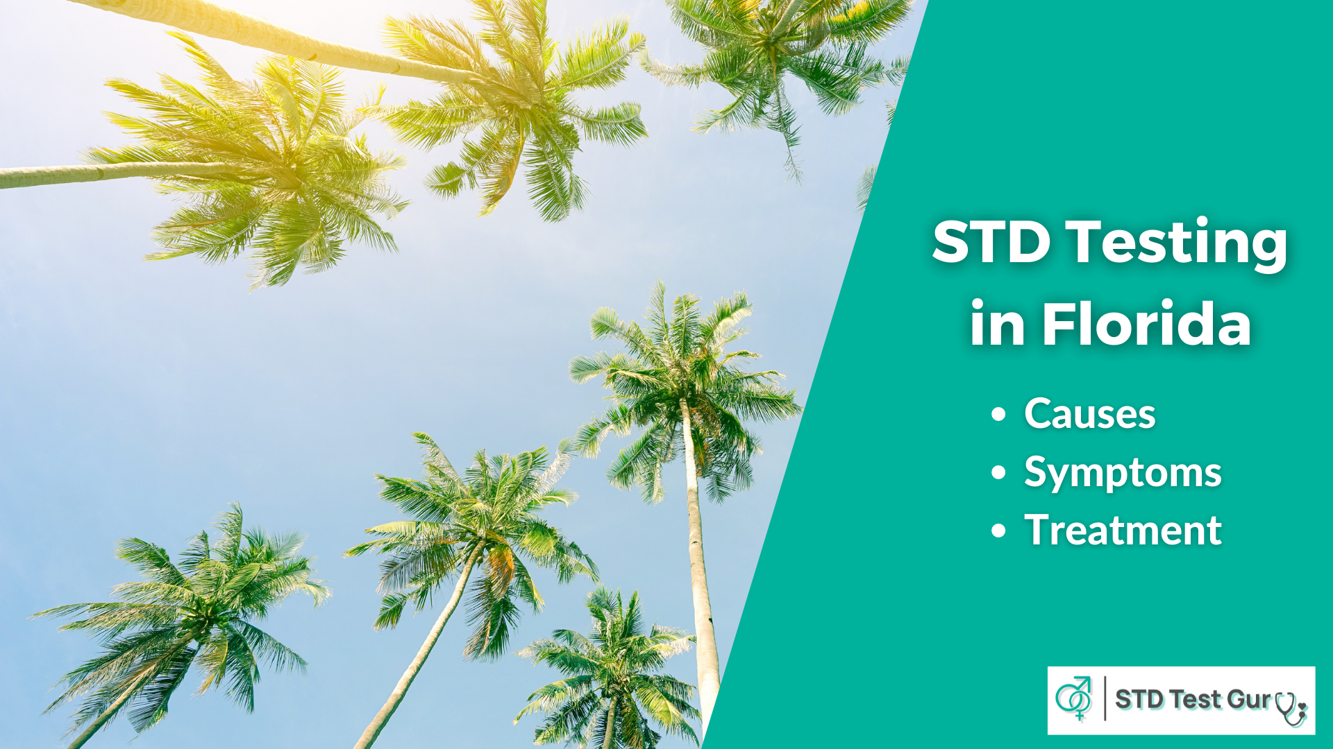 STD Testing in Florida - STDTestGuru